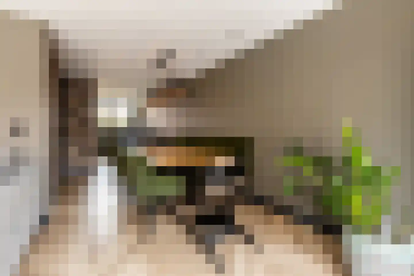 Wolga 27 Nieuwerkerk aan den IJssel thumbnail 13