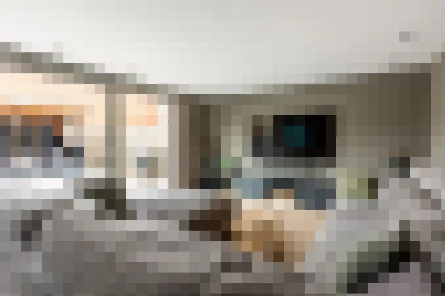 Wolga 27 Nieuwerkerk aan den IJssel thumbnail 14