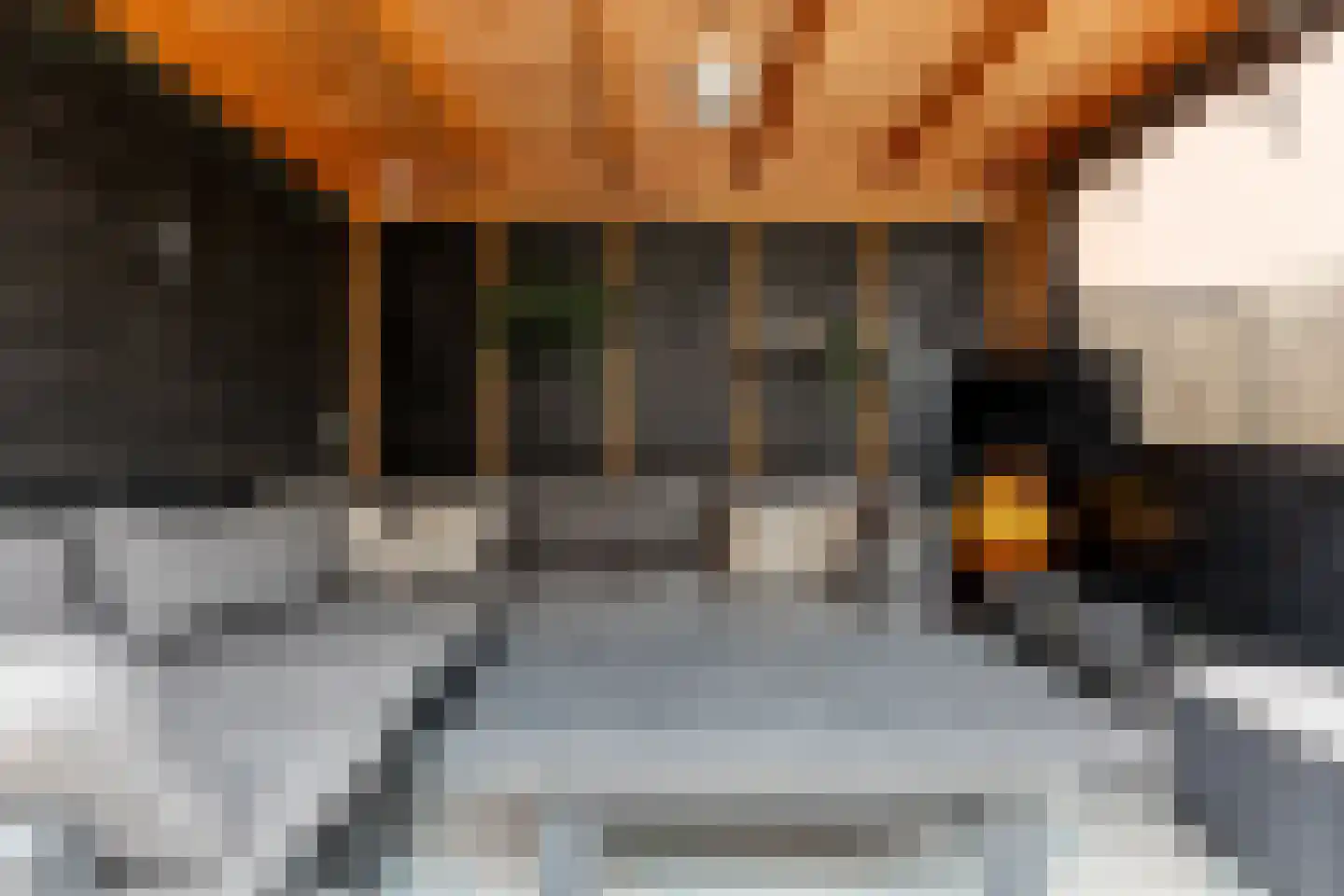 Wolga 27 Nieuwerkerk aan den IJssel thumbnail 17