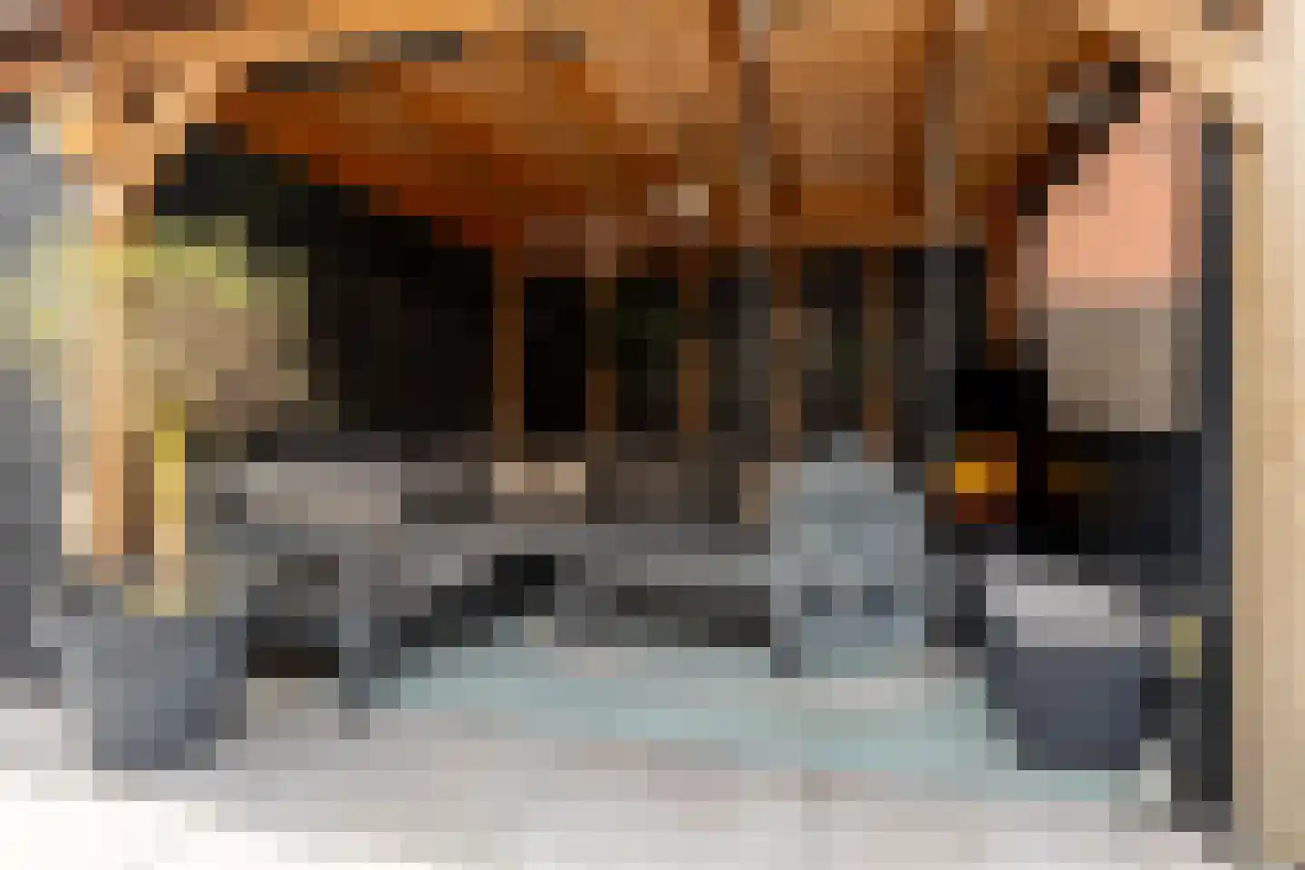 Wolga 27 Nieuwerkerk aan den IJssel thumbnail 18