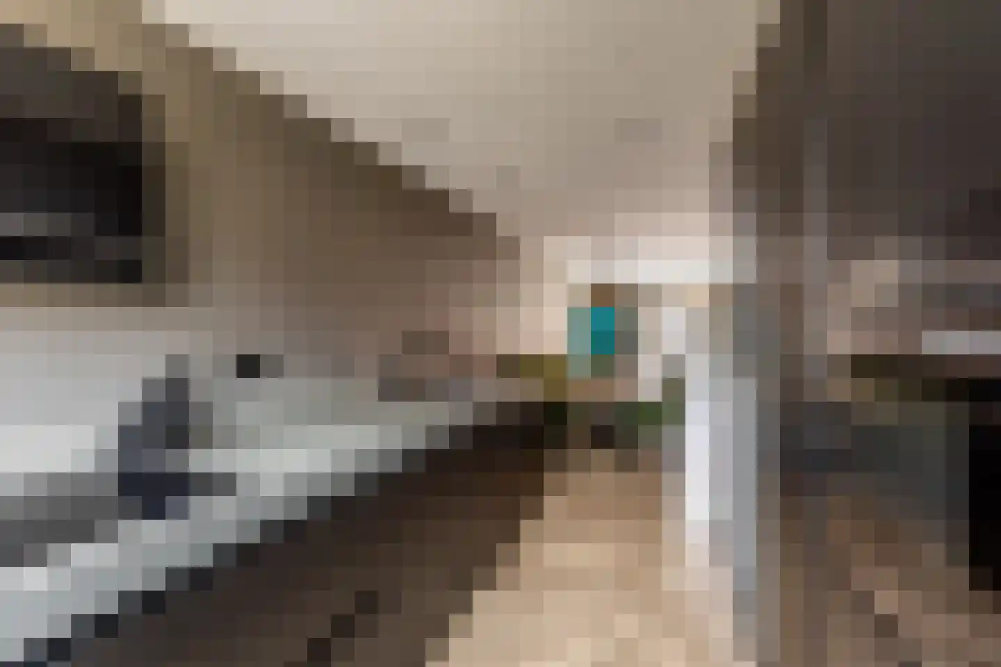 Wolga 27 Nieuwerkerk aan den IJssel thumbnail 27