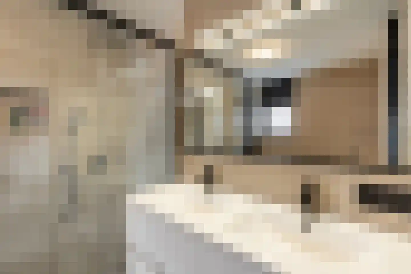 Wolga 27 Nieuwerkerk aan den IJssel thumbnail 5