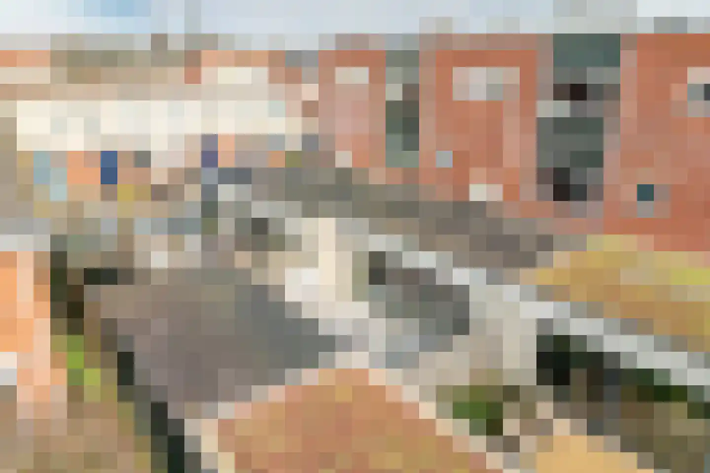 Wolga 27 Nieuwerkerk aan den IJssel thumbnail 62
