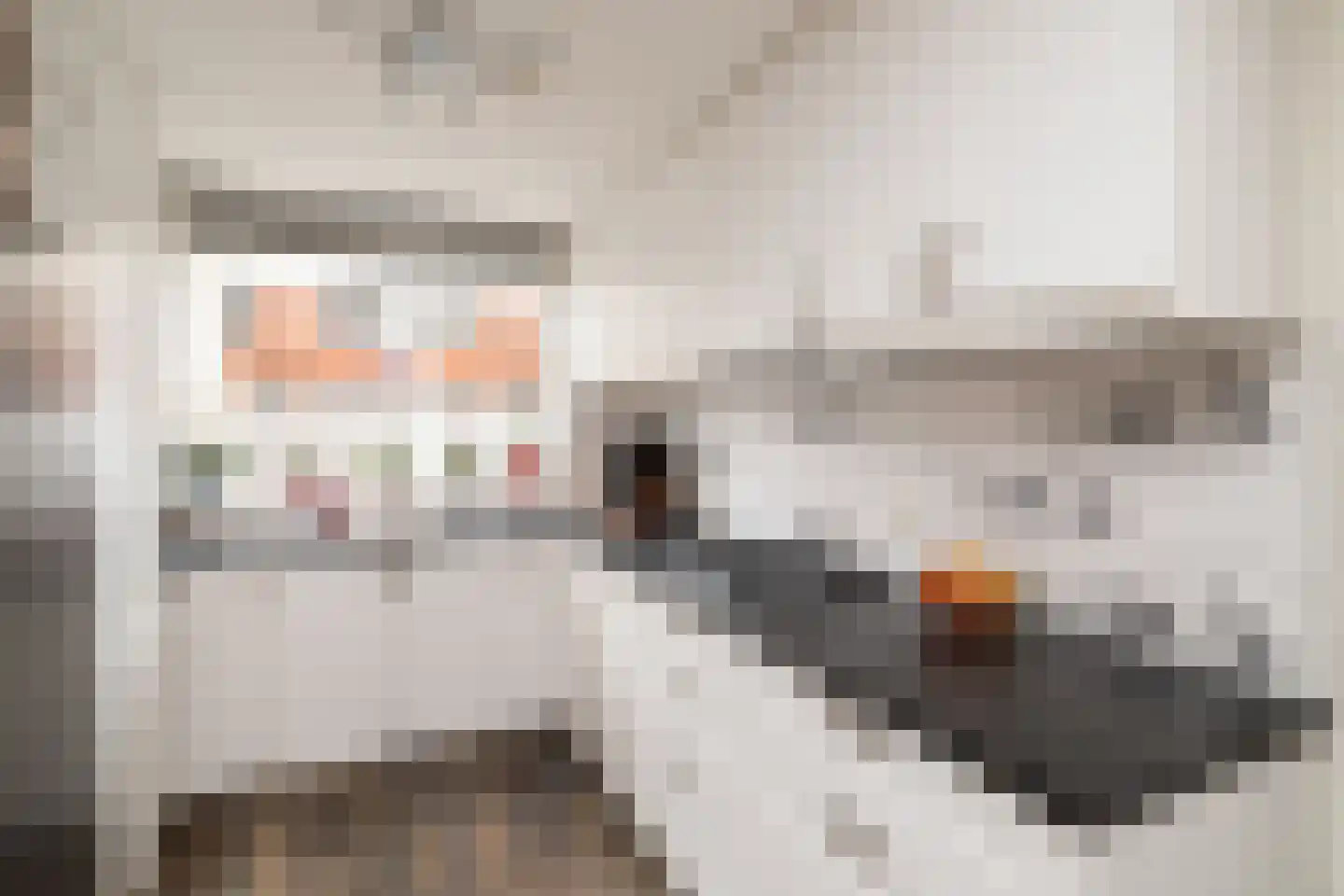 Wolga 35 Nieuwerkerk aan den IJssel thumbnail 5