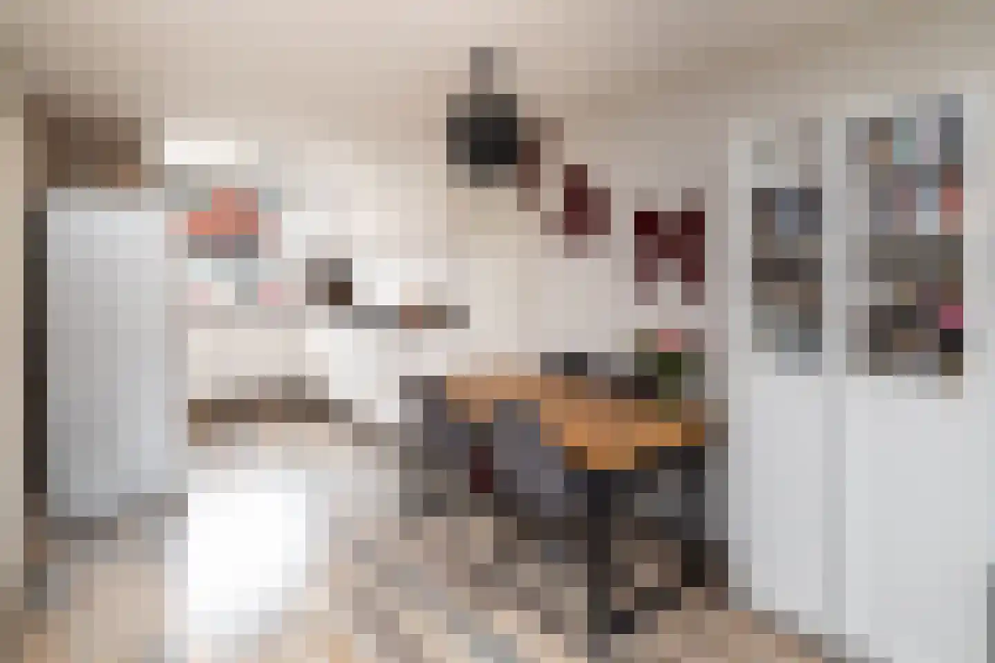 Wolga 35 Nieuwerkerk aan den IJssel thumbnail 7