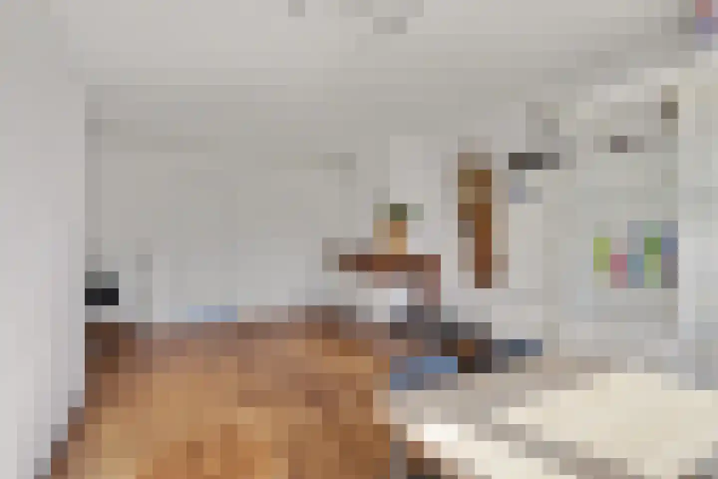 Wolgadreef 106 Utrecht thumbnail 11