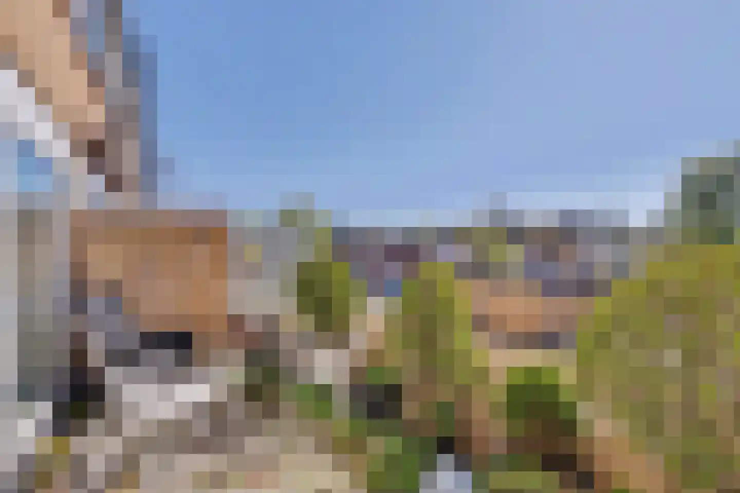 Wolgadreef 106 Utrecht thumbnail 30