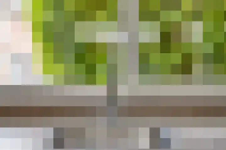 Wolgaplantsoen 5 Drunen thumbnail 10
