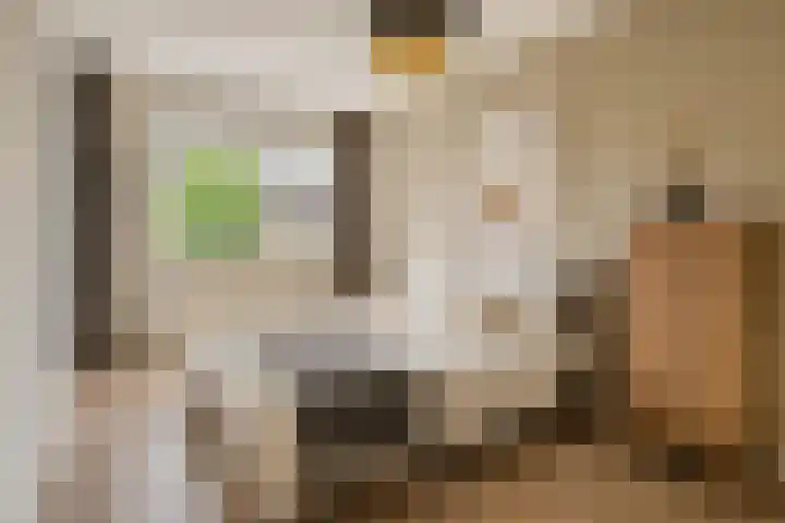 Wolgaplantsoen 5 Drunen thumbnail 14