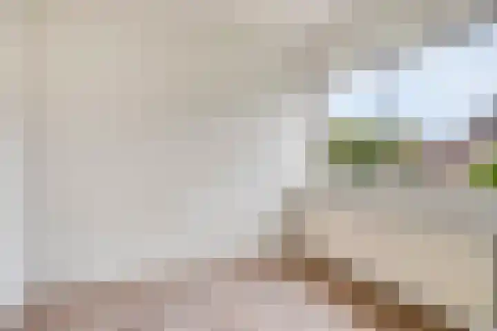 Wolgaplantsoen 5 Drunen thumbnail 19