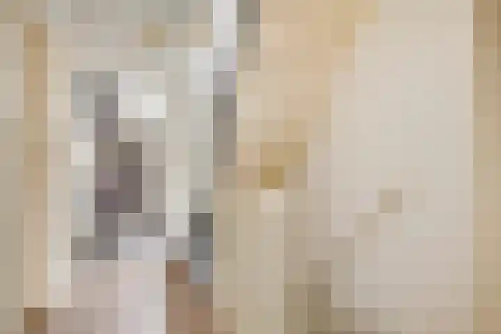 Wolgaplantsoen 5 Drunen thumbnail 21