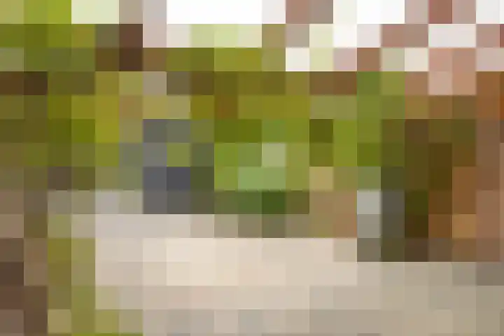 Wolgaplantsoen 5 Drunen thumbnail 29