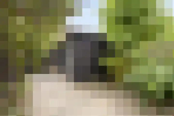 Wolgaplantsoen 5 Drunen thumbnail 31