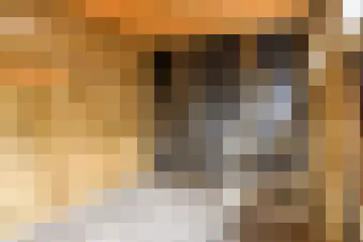 Wolgaplantsoen 5 Drunen thumbnail 32