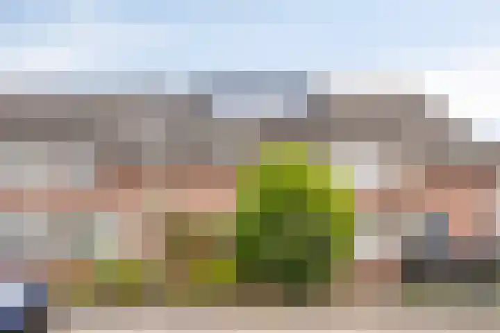 Wolgaplantsoen 5 Drunen thumbnail 35