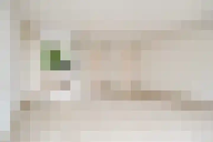 Wolgaplantsoen 5 Drunen thumbnail 4