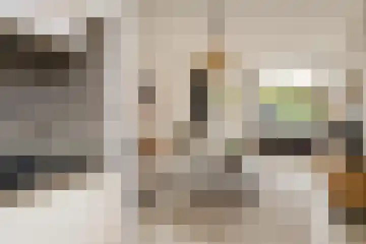 Wolgaplantsoen 5 Drunen thumbnail 5