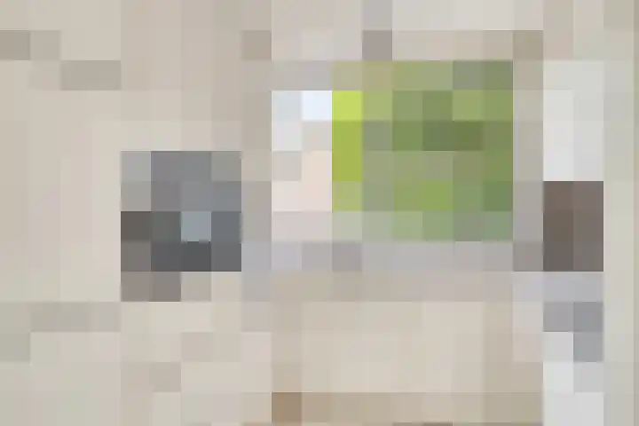 Wolgaplantsoen 5 Drunen thumbnail 8