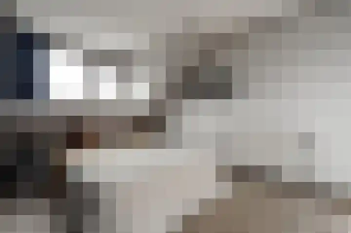 Wolgastraat 15 Lelystad thumbnail 28