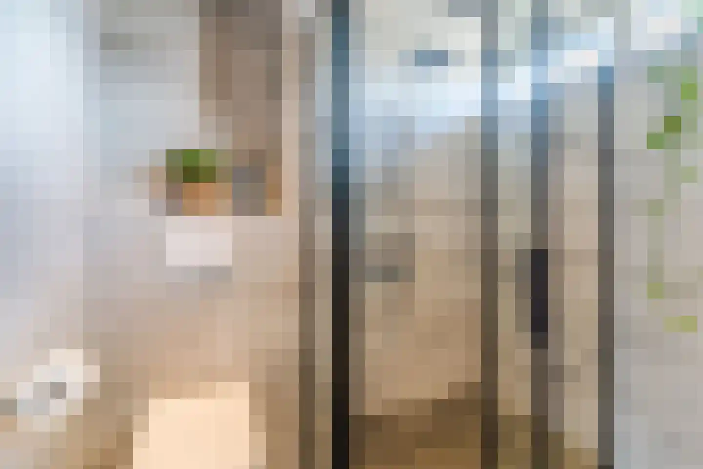 Wolgastraat 18 Veghel thumbnail 39