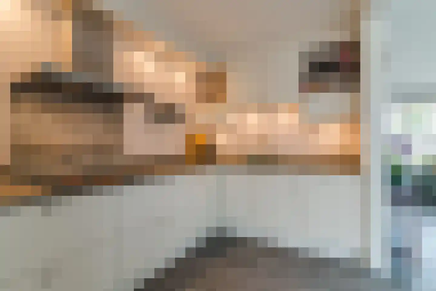 Wolgastraat 24 Veghel thumbnail 23