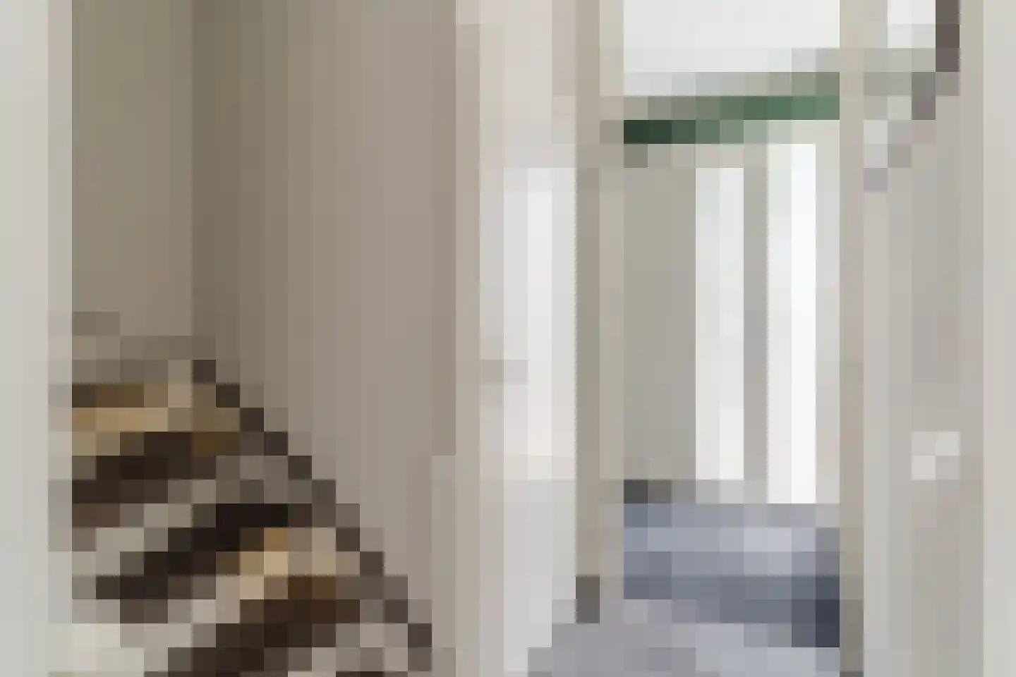 Wolgastraat 24 Veghel thumbnail 27
