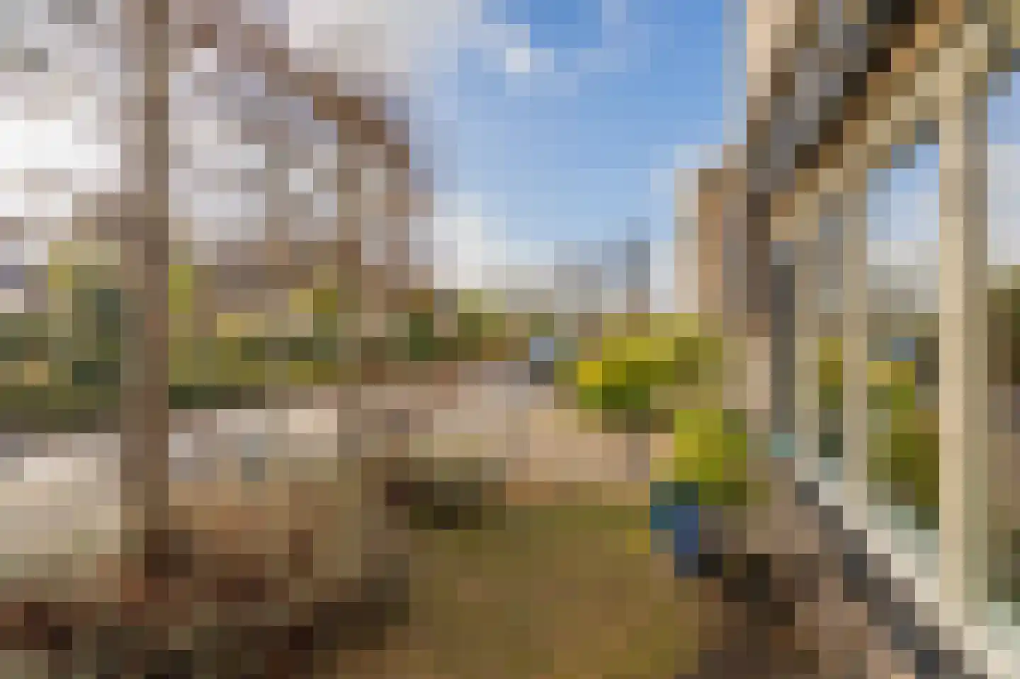 Wolgastraat 28 Assen thumbnail 12