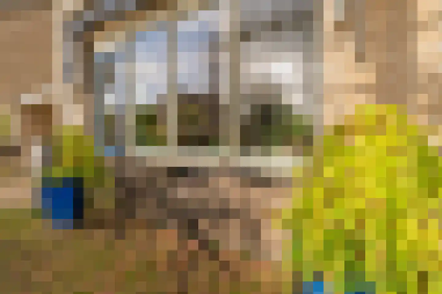 Wolgastraat 28 Assen thumbnail 13