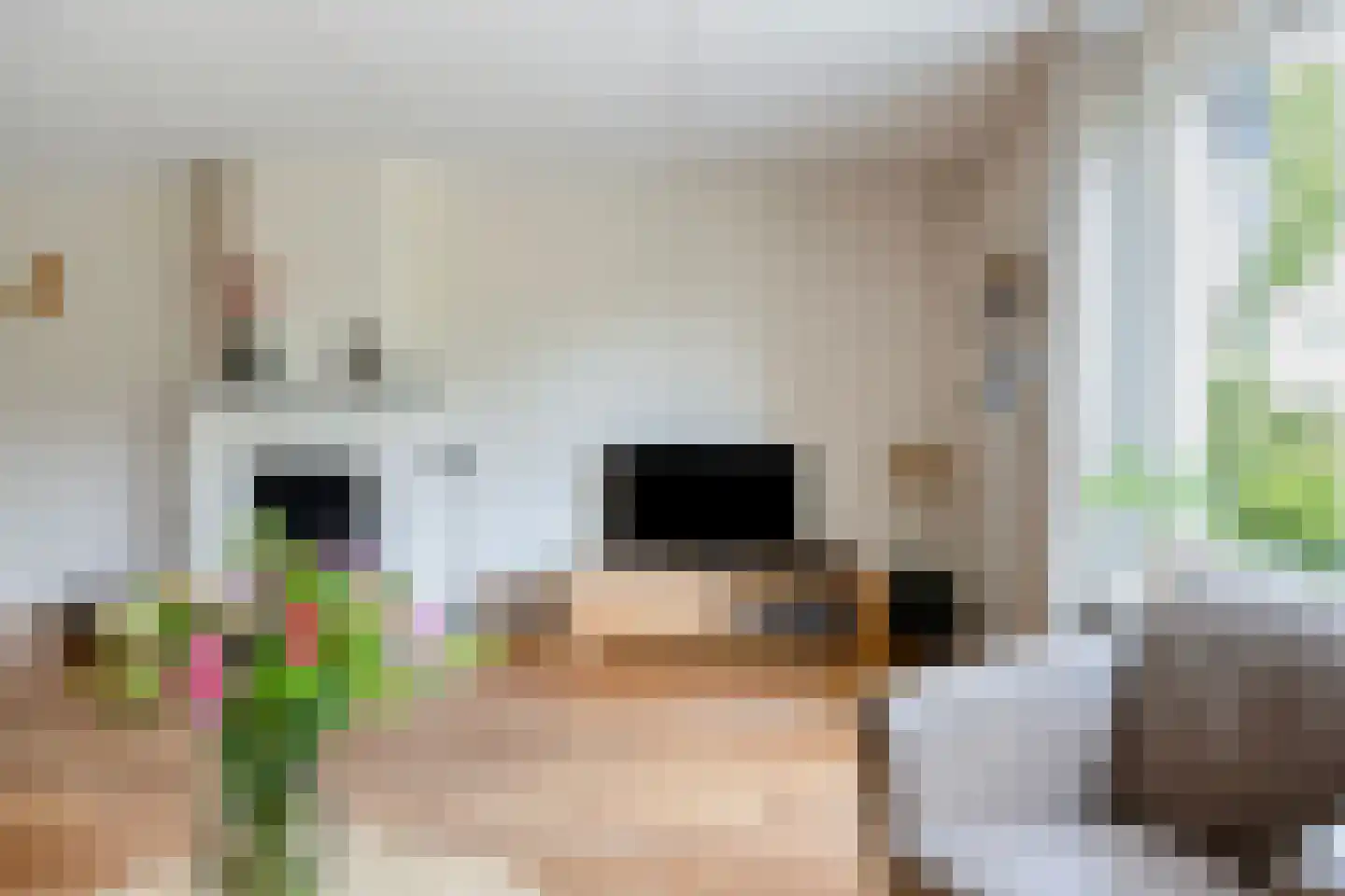 Wolgastraat 28 Assen thumbnail 18