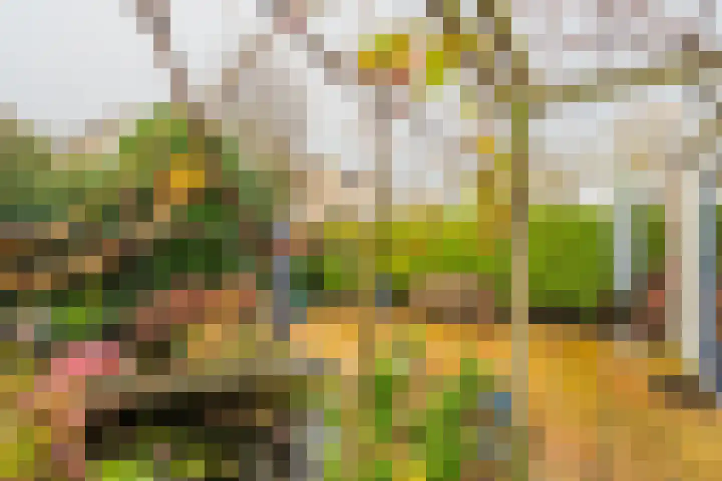 Wolgastraat 28 Assen thumbnail 4