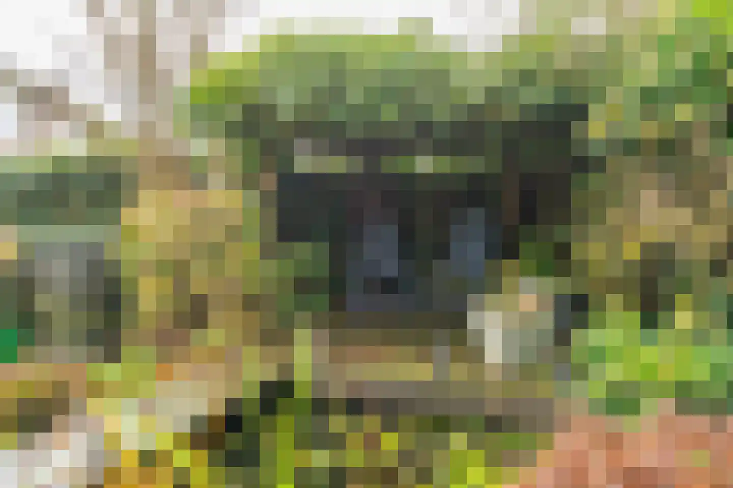 Wolgastraat 28 Assen thumbnail 44