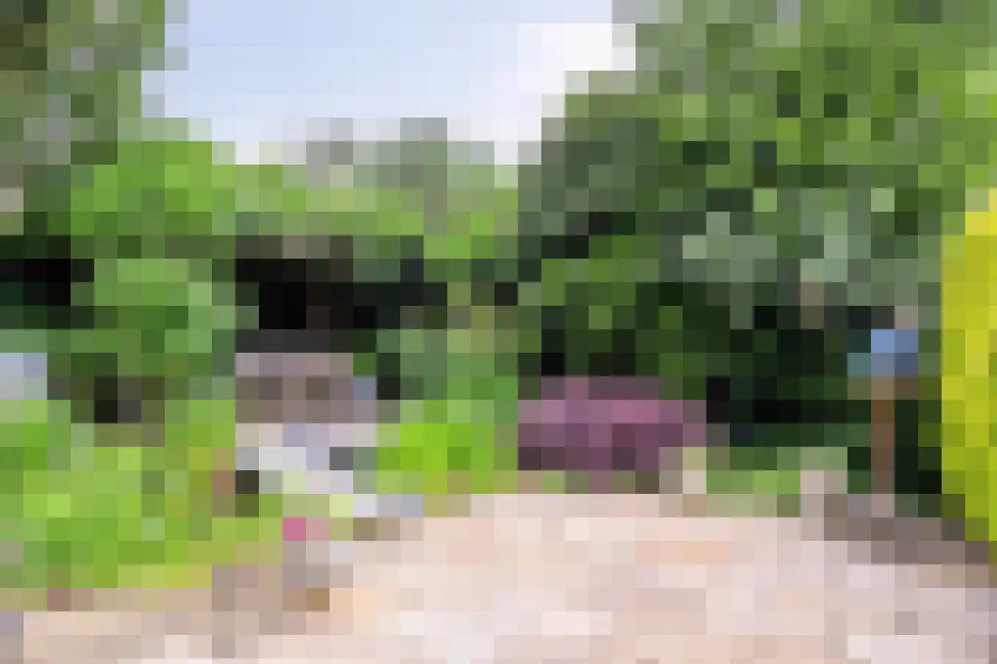 Wolgastraat 28 Assen thumbnail 45