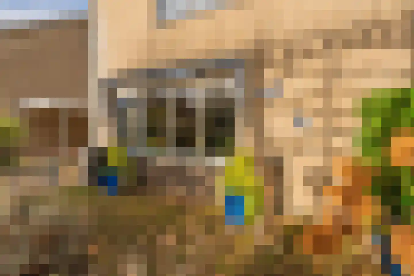 Wolgastraat 28 Assen thumbnail 8