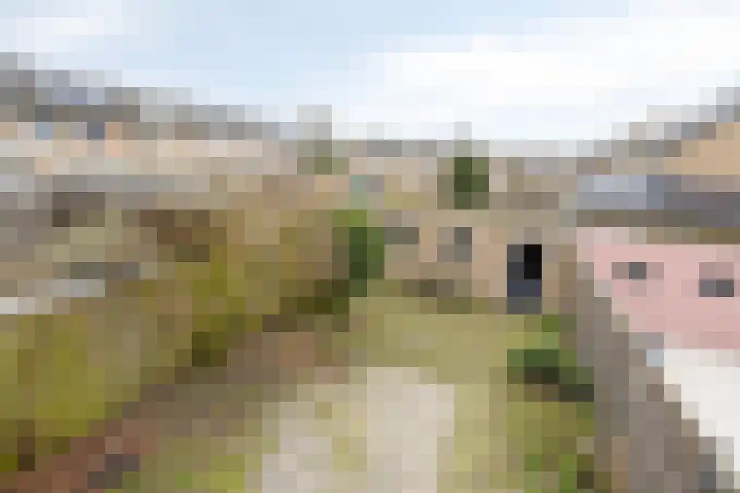 Wolgastraat 32 Veghel thumbnail 25