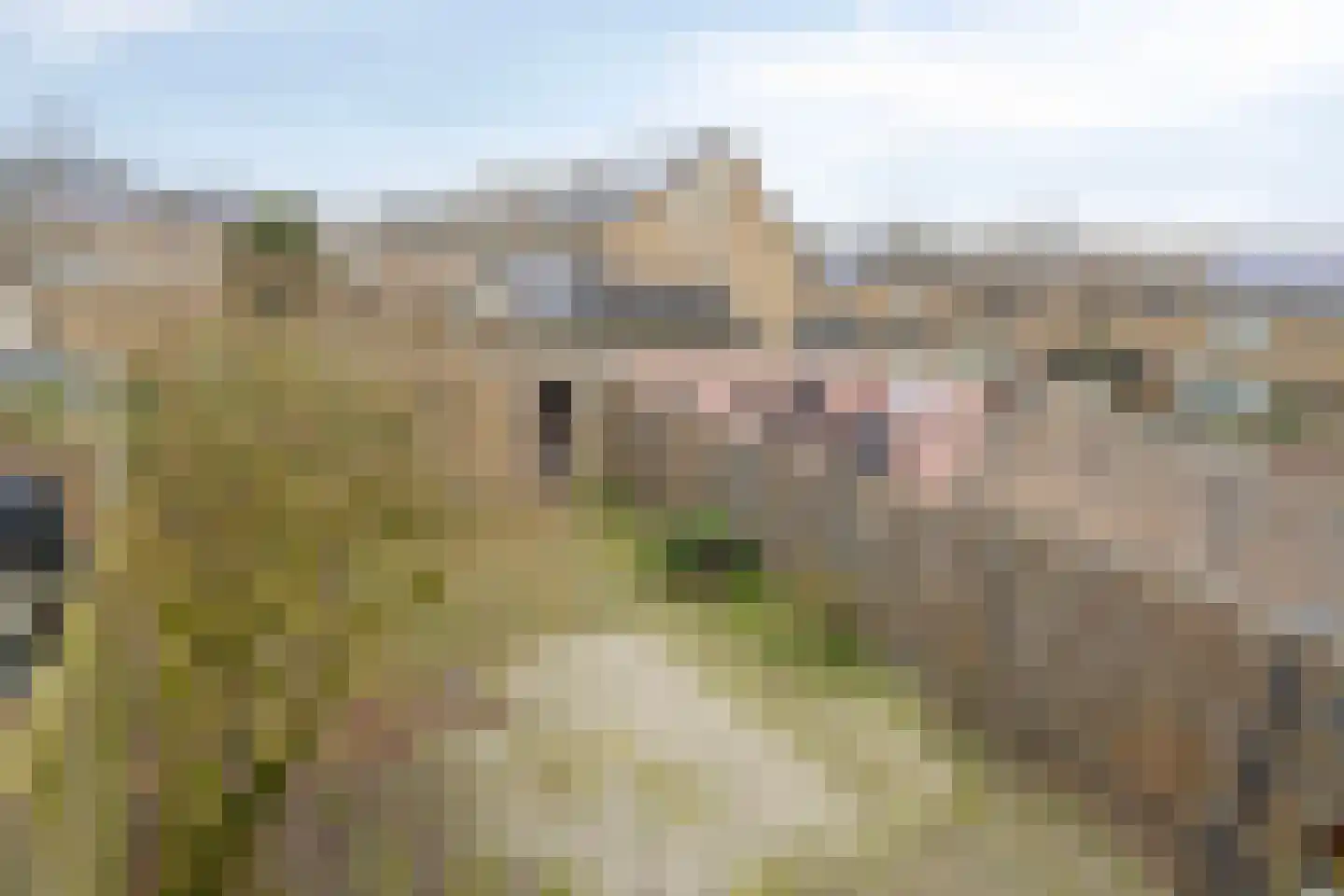 Wolgastraat 32 Veghel thumbnail 26
