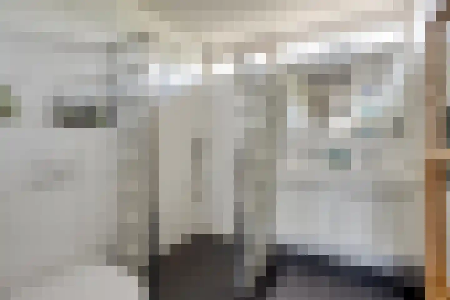 Wolgastraat 44 Veghel thumbnail 13