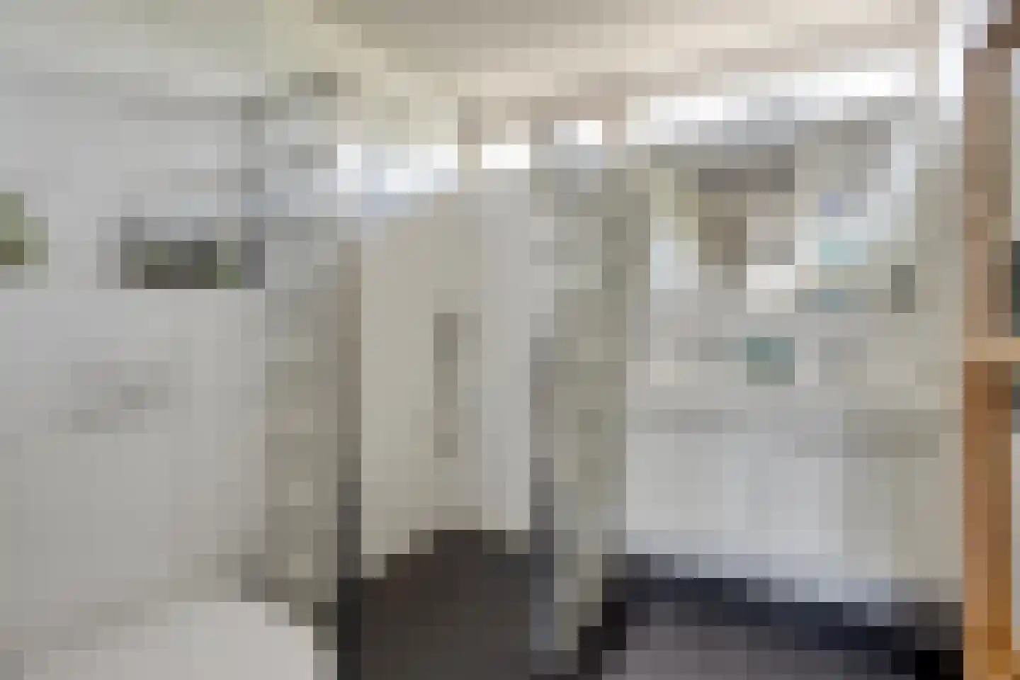 Wolgastraat 44 Veghel thumbnail 18