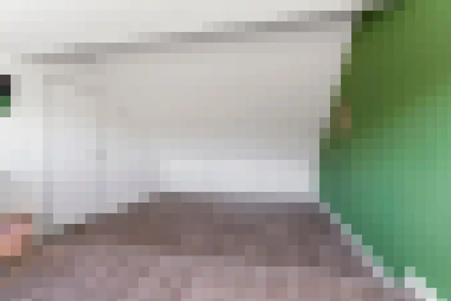 Wolgastraat 65 Veghel thumbnail 30