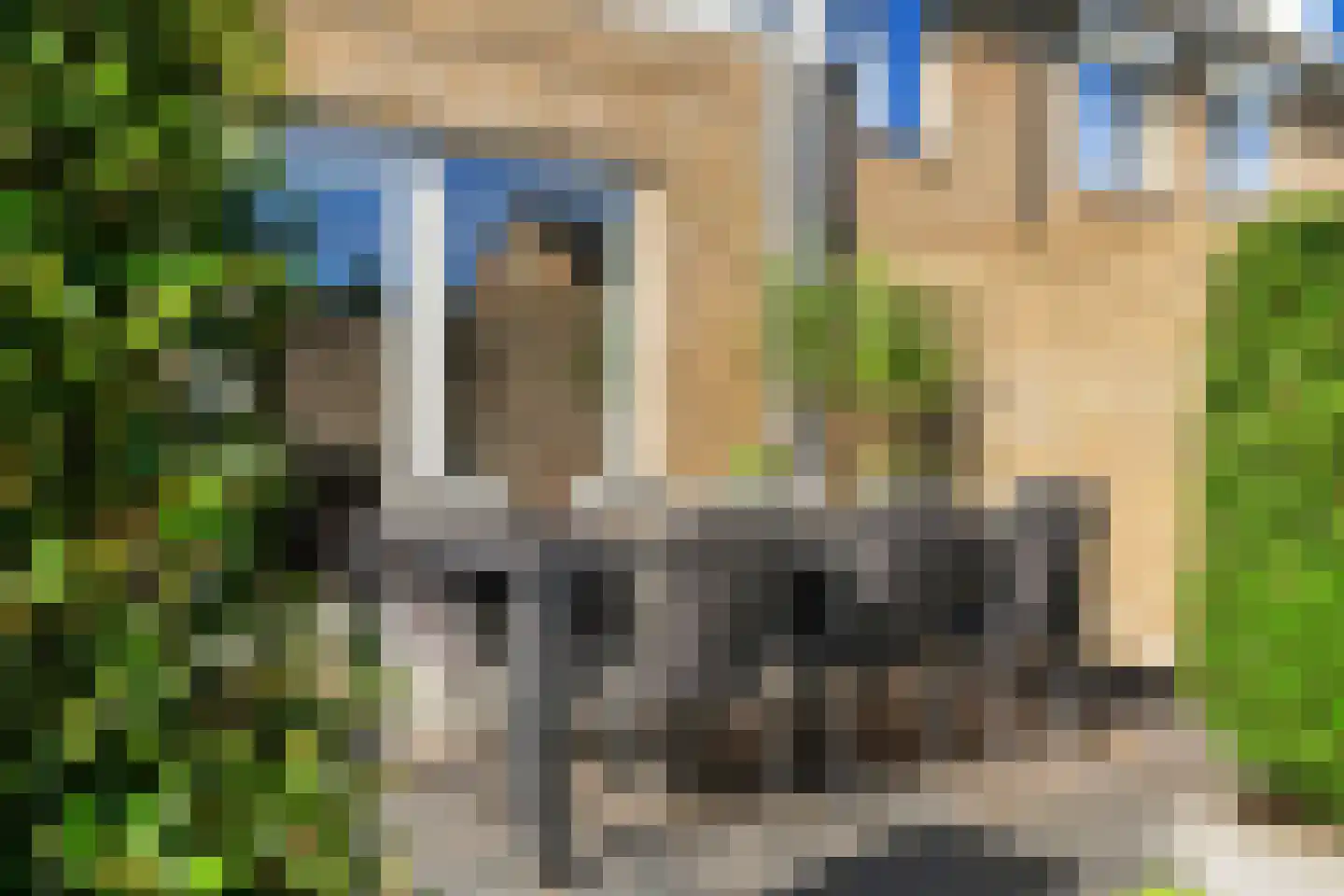 Wolgastraat 65 Veghel thumbnail 38
