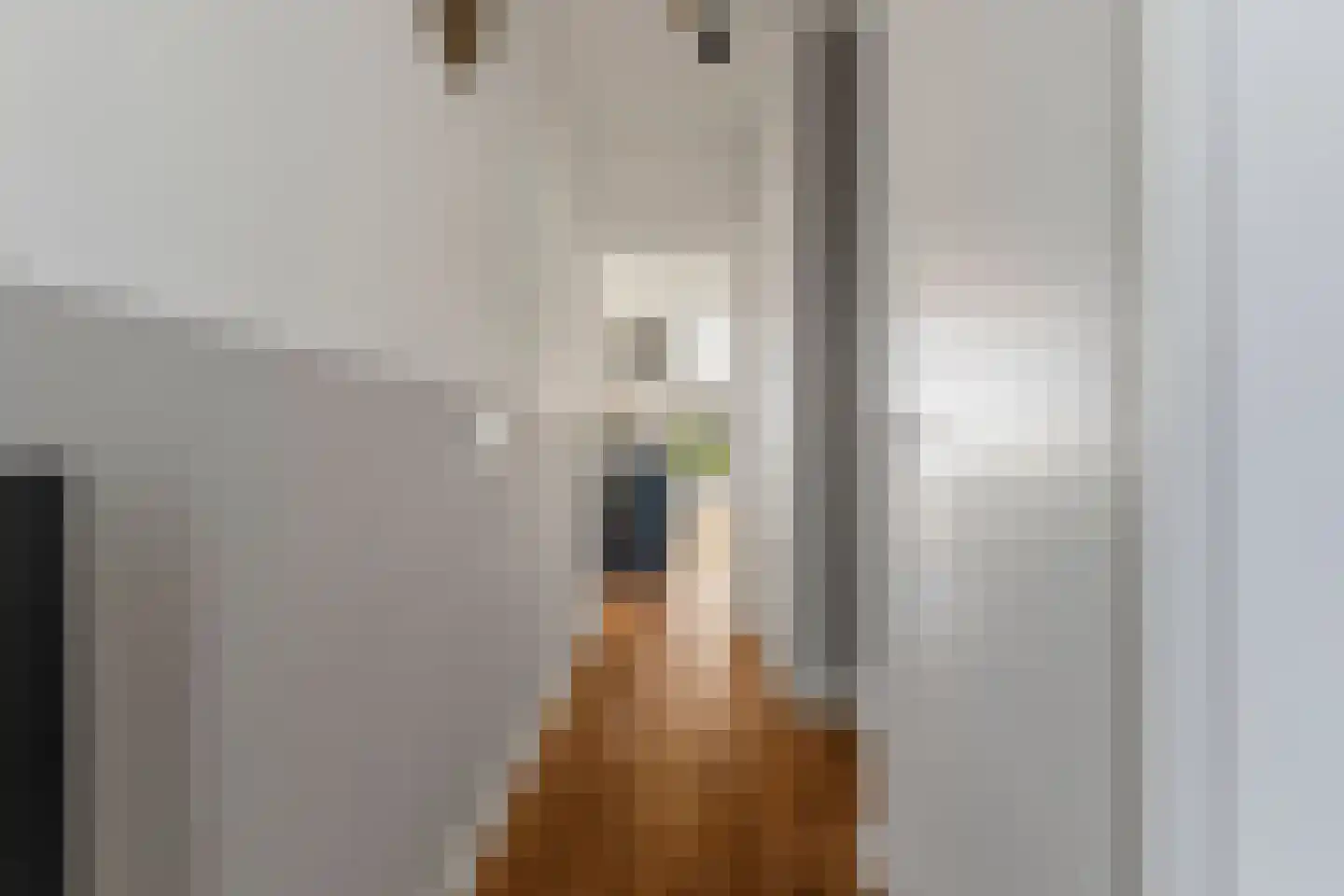 Wolgastraat 65 Veghel thumbnail 5