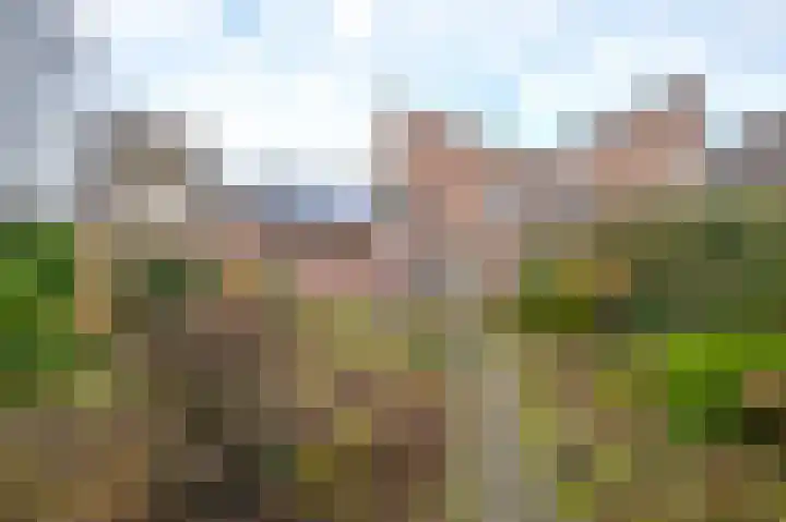Wolgastraat 66 Assen thumbnail 30