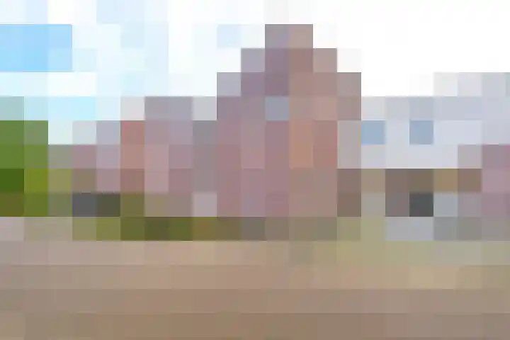 Wolgastraat 66 Assen thumbnail 31