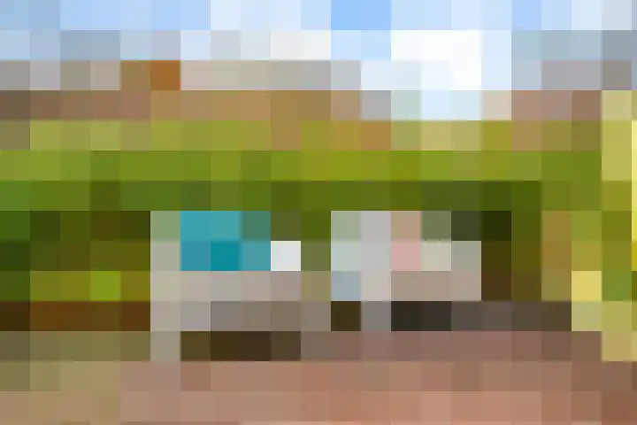 Wolinkweg 39 Haarlo thumbnail 42