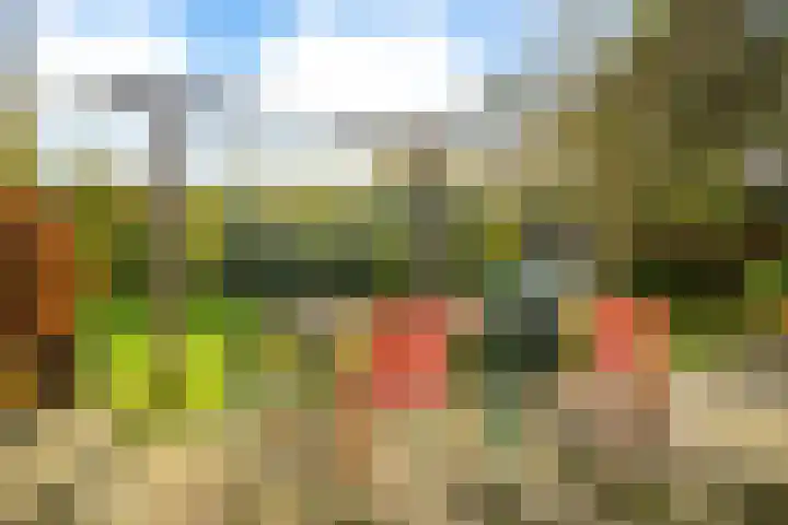 Wolinkweg 39 Haarlo thumbnail 43