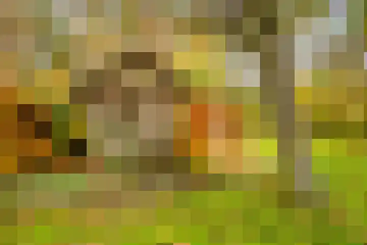 Wolinkweg 39 Haarlo thumbnail 45