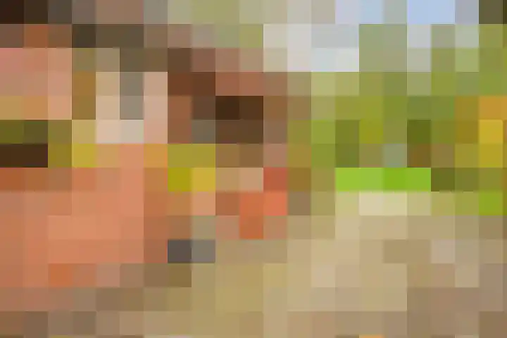 Wolinkweg 39 Haarlo thumbnail 47