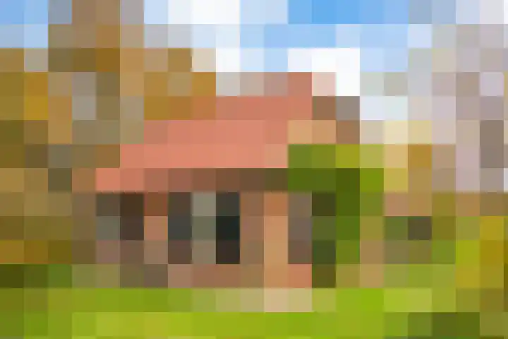 Wolinkweg 39 Haarlo thumbnail 5