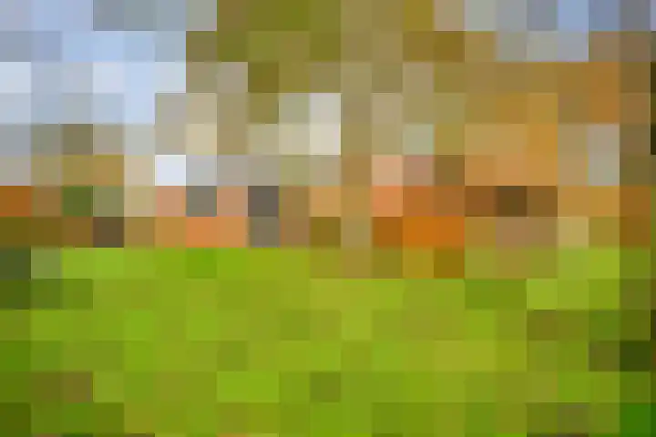 Wolinkweg 39 Haarlo thumbnail 50