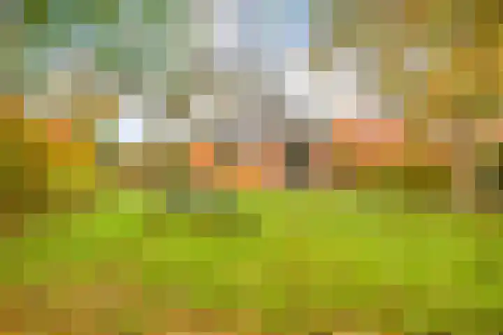 Wolinkweg 39 Haarlo thumbnail 53