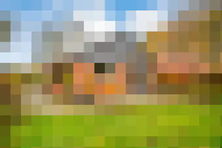 Wolinkweg 39 Haarlo thumbnail 54